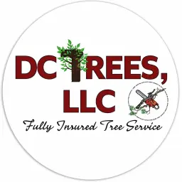 DC Trees