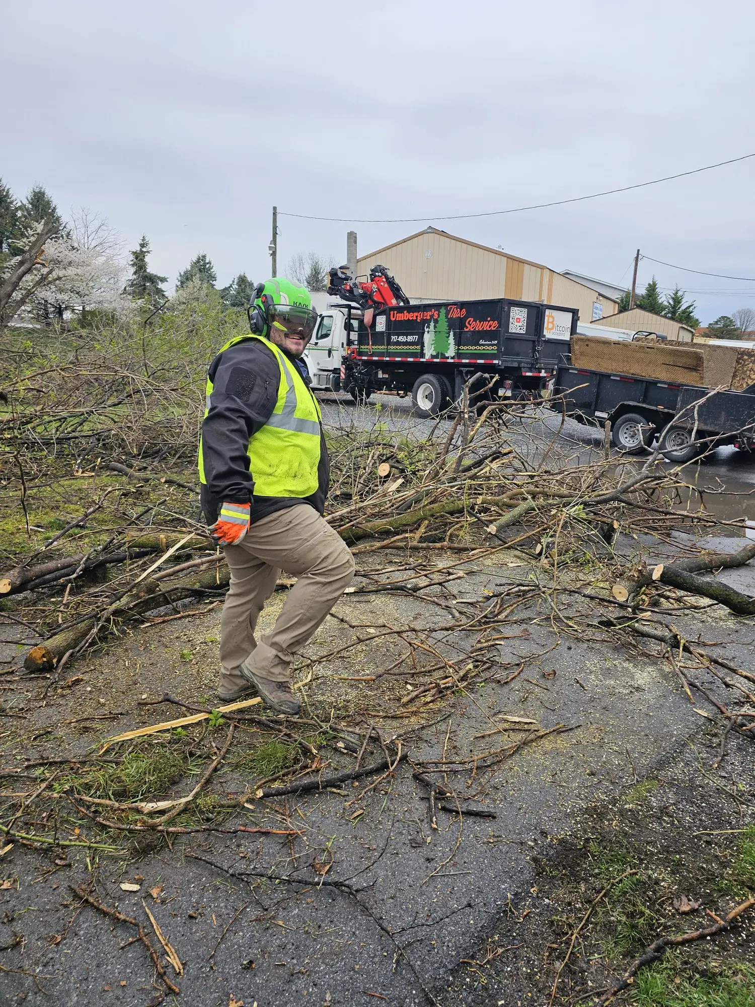Tree Service