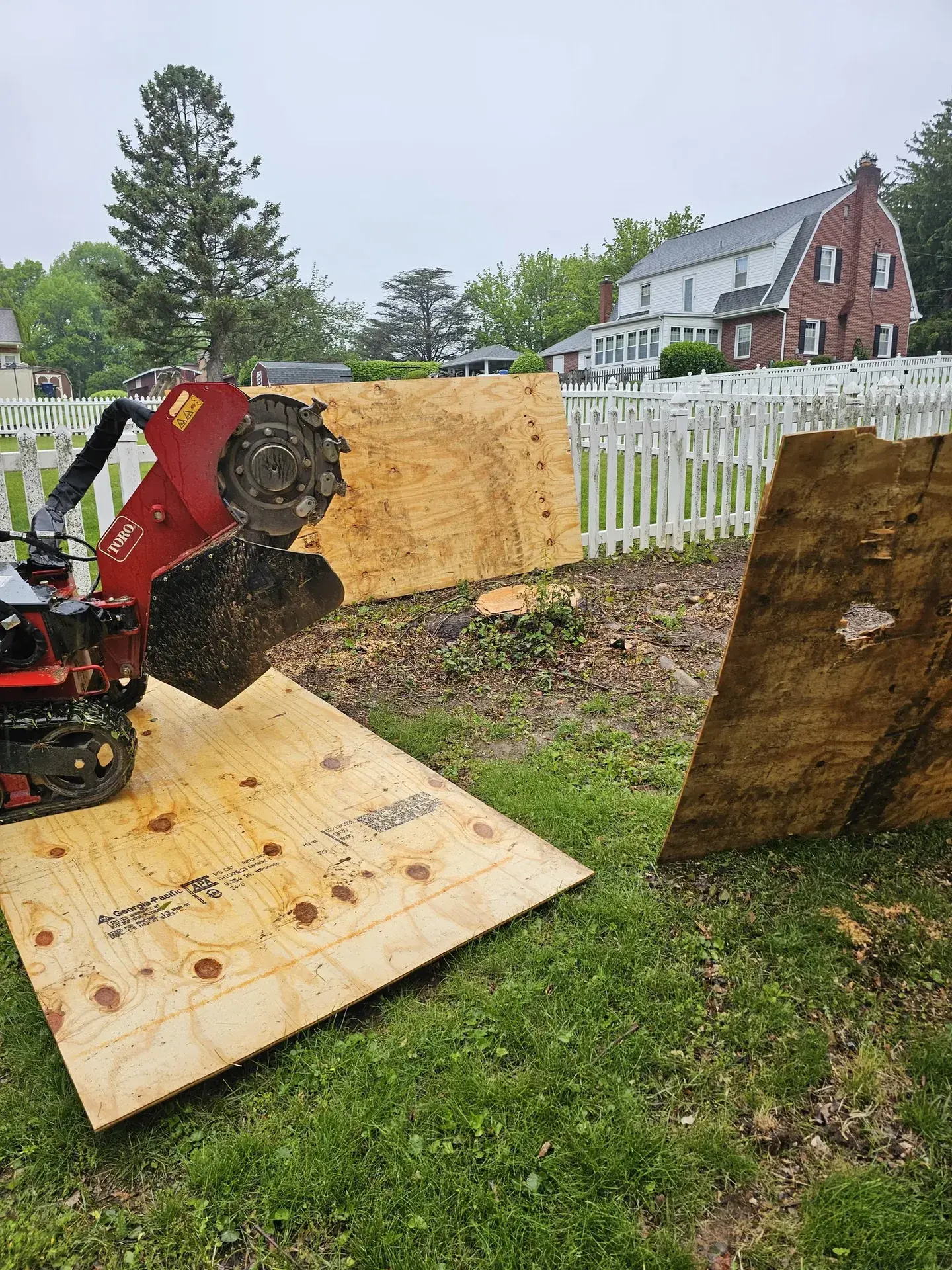 Tree Service